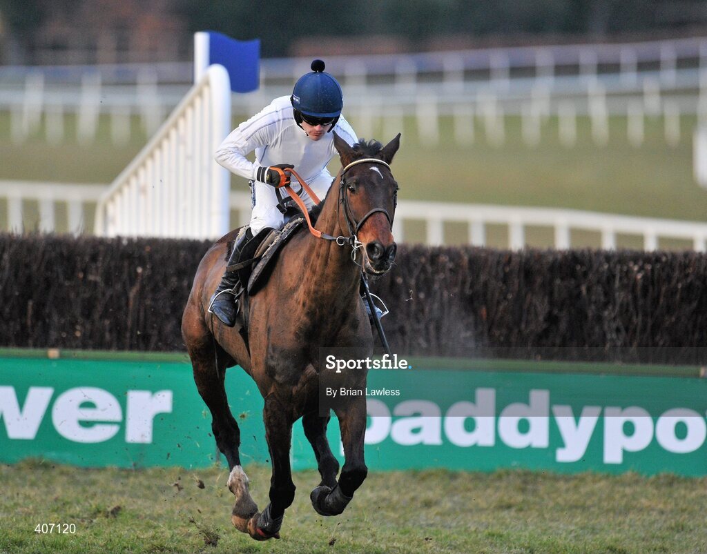 28 February 2010; Willie Mullins trained Sports Line, with Ruby Walsh up, during the gallops after the days racing. Leopardstown Racecourse, Dublin. Picture credit: Brian Lawless / SPORTSFILE