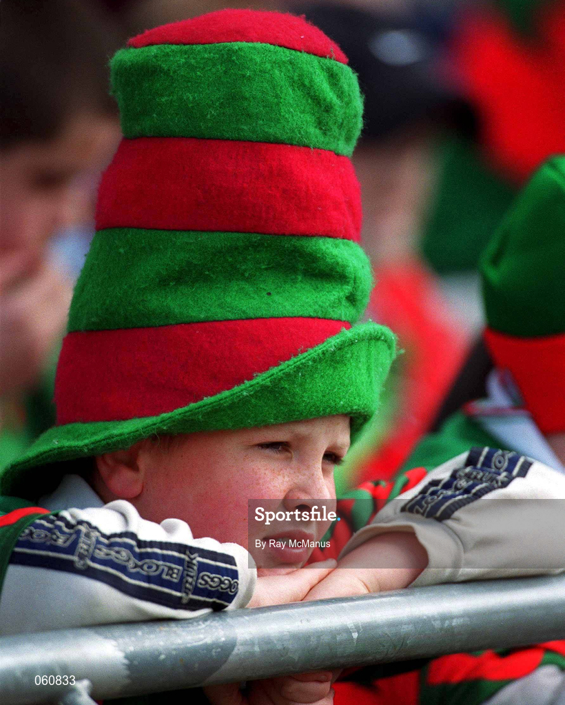 29 April 2001; A Mayo fan during the Allianz GAA National Football League Division 1 Final match betweem Mayo and Galway at Croke Park in Dublin. Photo by Ray McManus/Sportsfile
