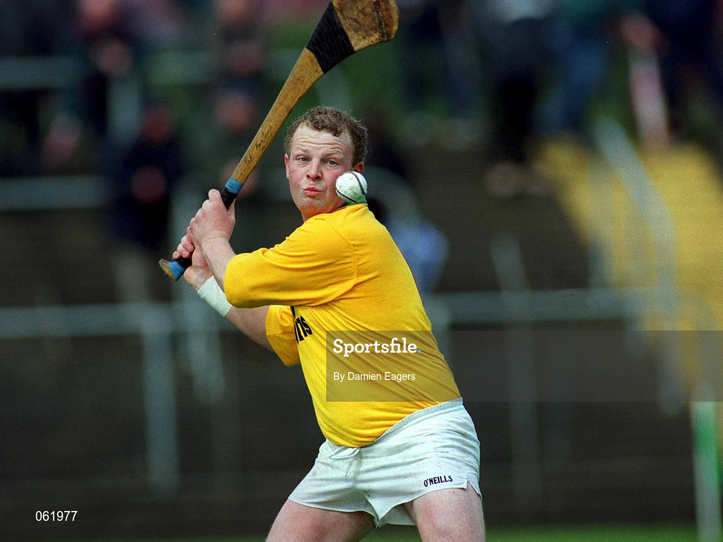 29 April 2001; Pat Fenlon of Carlow during the Guinness Leinster Senior Hurling Championship Preliminary Round match between Carlow and Laois at Dr Cullen Park in Carlow. Photo by Damien Eagers/Sportsfile