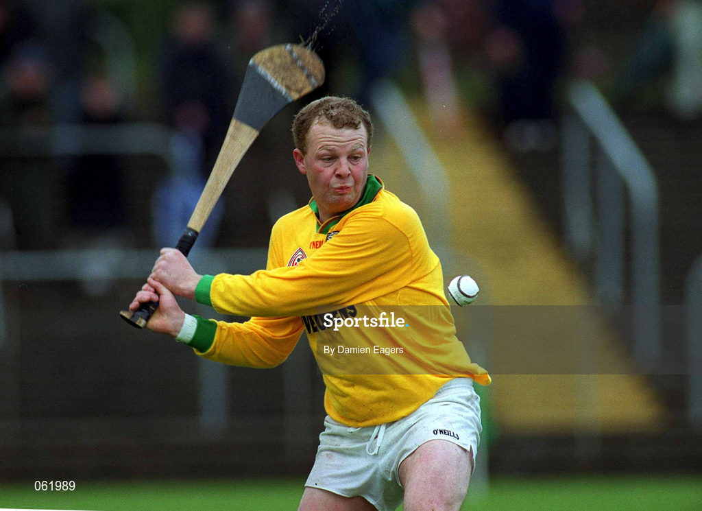 29 April 2001; Pat Fenlon of Carlow during the Guinness Leinster Senior Hurling Championship Preliminary Round match between Carlow and Laois at Dr Cullen Park in Carlow. Photo by Damien Eagers/Sportsfile