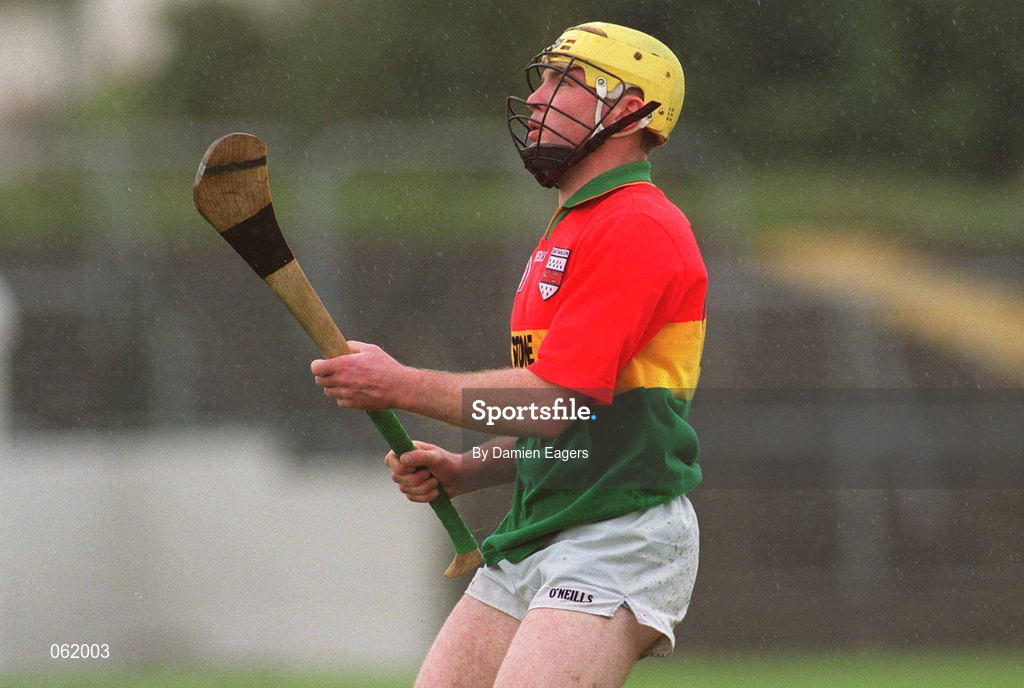 29 April 2001; Damien Roberts of Carlow during the Guinness Leinster Senior Hurling Championship Preliminary Round match between Carlow and Laois at Dr Cullen Park in Carlow. Photo by Damien Eagers/Sportsfile