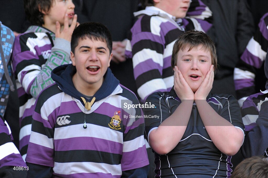 11 March 2010; Terenure College supporters during the game. Leinster Schools Junior Cup Semi-Final, Clongowes Wood College SJ v Terenure College, Donnybrook Stadium, Donnybrook, Dublin. Picture credit: Stephen McCarthy / SPORTSFILE