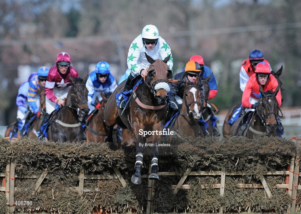 28 February 2010; Woodfield Lord, with Robert Colgan up, clears the last 'first time round' during The Irish Stallion Farms European Breeders Fund Maiden Hurdle. Leopardstown Racecourse, Dublin. Picture credit: Brian Lawless / SPORTSFILE