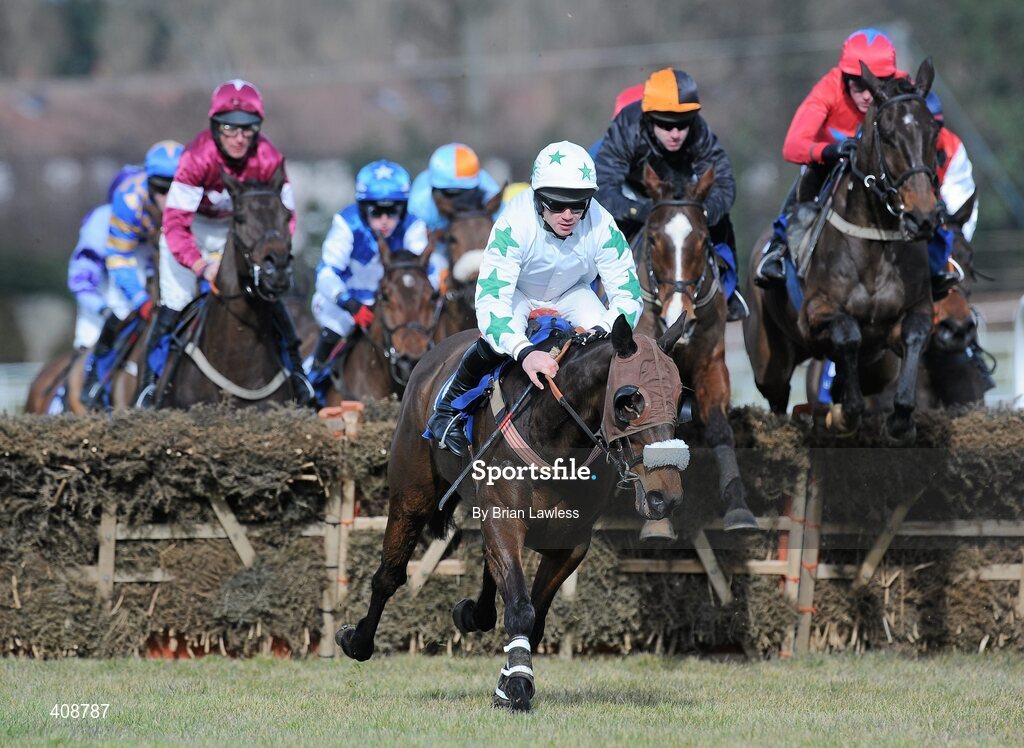 28 February 2010; Woodfield Lord, with Robert Colgan up, leads the field during The Irish Stallion Farms European Breeders Fund Maiden Hurdle. Leopardstown Racecourse, Dublin. Picture credit: Brian Lawless / SPORTSFILE