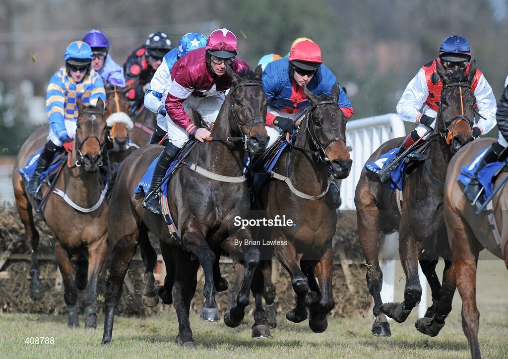 28 February 2010; Big Secret, with Davy Russell up, second from left, alongside Kingsmoss, with Barry Geraghty up, during The Irish Stallion Farms European Breeders Fund Maiden Hurdle. Leopardstown Racecourse, Dublin. Picture credit: Brian Lawless / SPORTSFILE