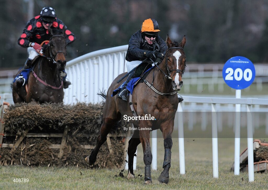28 February 2010; False Evidence, with Andrew Leigh up, clears the last, ahead of eventual third place Seeability, John Cullen up, on their way to winning The Irish Stallion Farms European Breeders Fund Maiden Hurdle. Leopardstown Racecourse, Dublin. Picture credit: Brian Lawless / SPORTSFILE