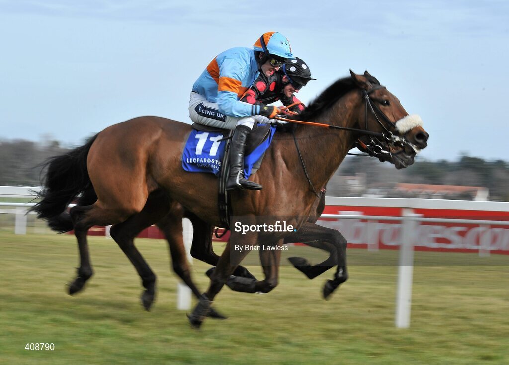 28 February 2010; King Of The Refs (11), with Ruby Waslh up, races alongside Seeability, John Cullen up, during The Irish Stallion Farms European Breeders Fund Maiden Hurdle. Leopardstown Racecourse, Dublin. Picture credit: Brian Lawless / SPORTSFILE
