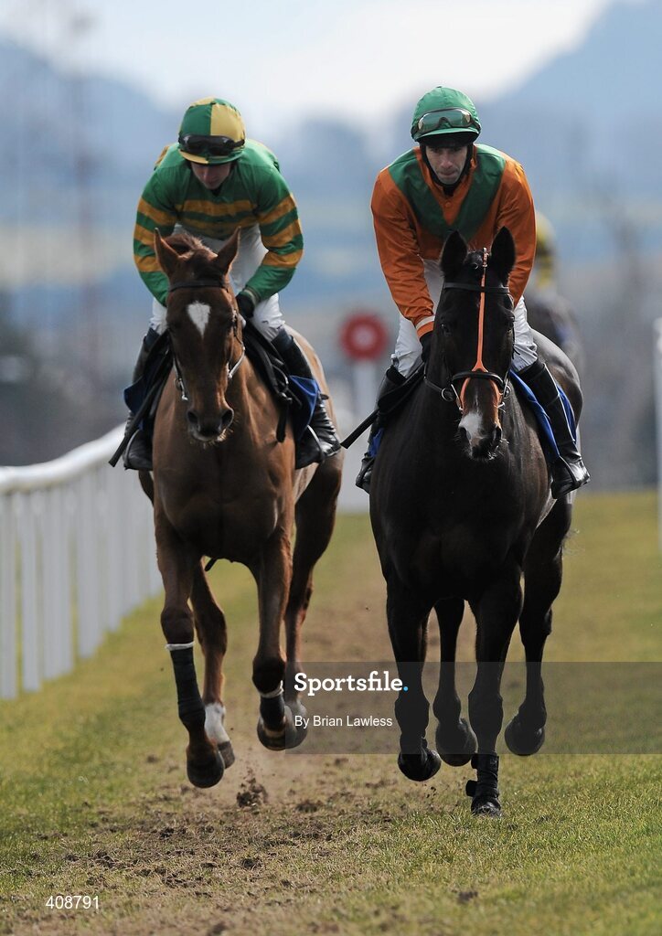 28 February 2010; Kilflora, with Thomas Doyle up, right, and Lethal Weapon, Roger Loughran up, go to post for The www.leopardstown.com Handicap Hurdle. Leopardstown Racecourse, Dublin. Picture credit: Brian Lawless / SPORTSFILE