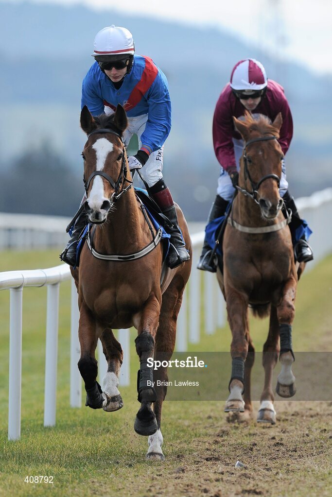 28 February 2010; Take It Easee, with Paul Townend up, left, and Takari, Ruby Walsh up, go to post for The www.leopardstown.com Handicap Hurdle. Leopardstown Racecourse, Dublin. Picture credit: Brian Lawless / SPORTSFILE