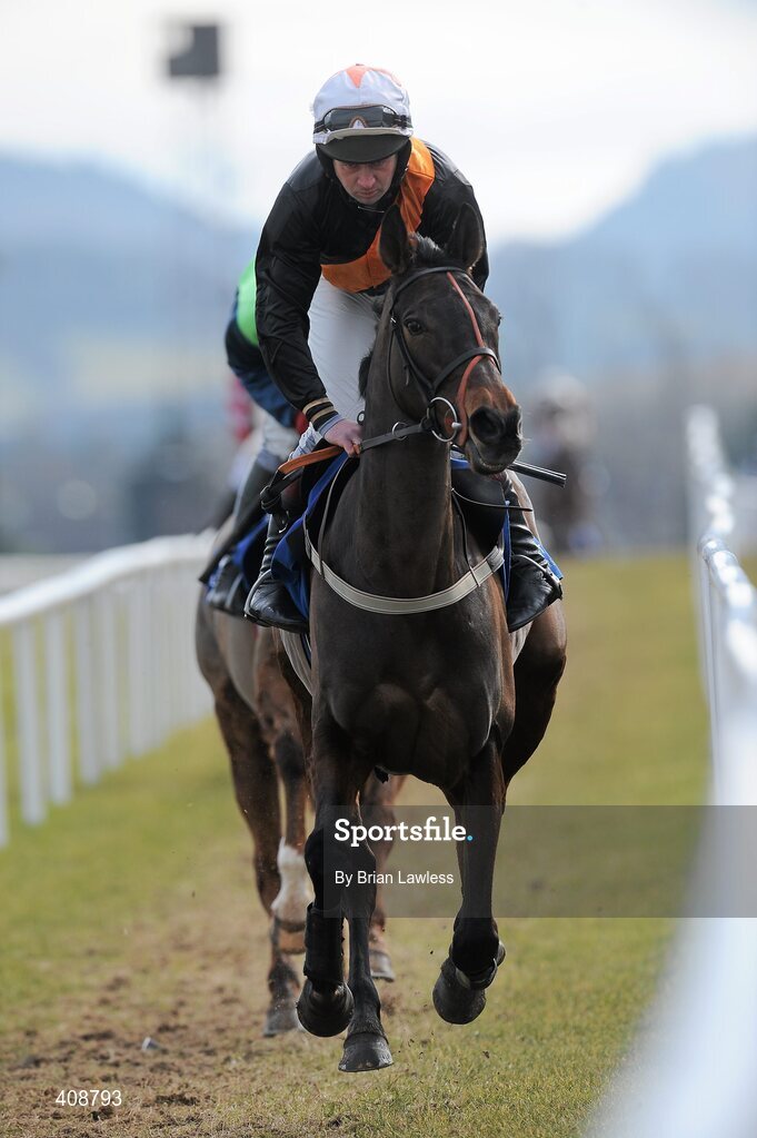 28 February 2010; Here Comes Sally, with Garrett Cotter up, goes to post for The www.leopardstown.com Handicap Hurdle. Leopardstown Racecourse, Dublin. Picture credit: Brian Lawless / SPORTSFILE