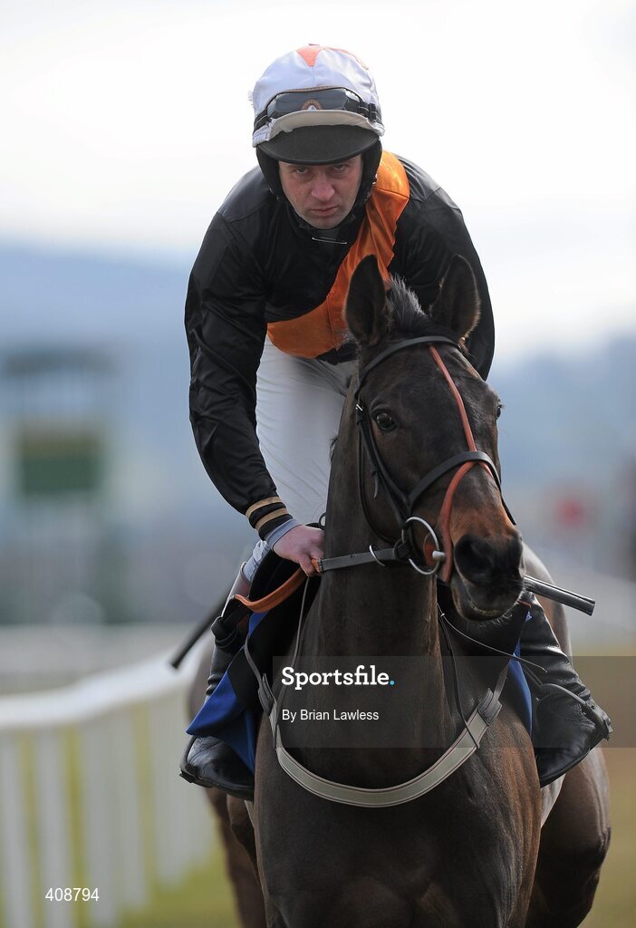 28 February 2010; Here Comes Sally, with Garrett Cotter up, goes to post for The www.leopardstown.com Handicap Hurdle. Leopardstown Racecourse, Dublin. Picture credit: Brian Lawless / SPORTSFILE