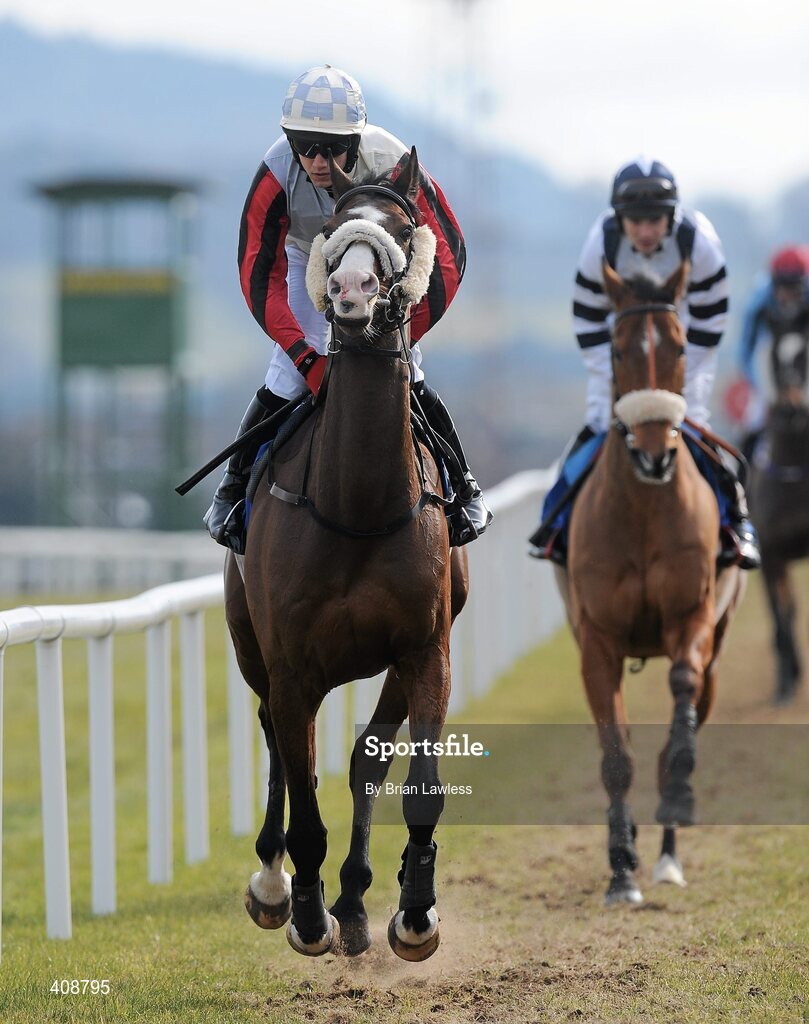 28 February 2010; Jigalo, with David Condon up, goes to post for The www.leopardstown.com Handicap Hurdle. Leopardstown Racecourse, Dublin. Picture credit: Brian Lawless / SPORTSFILE
