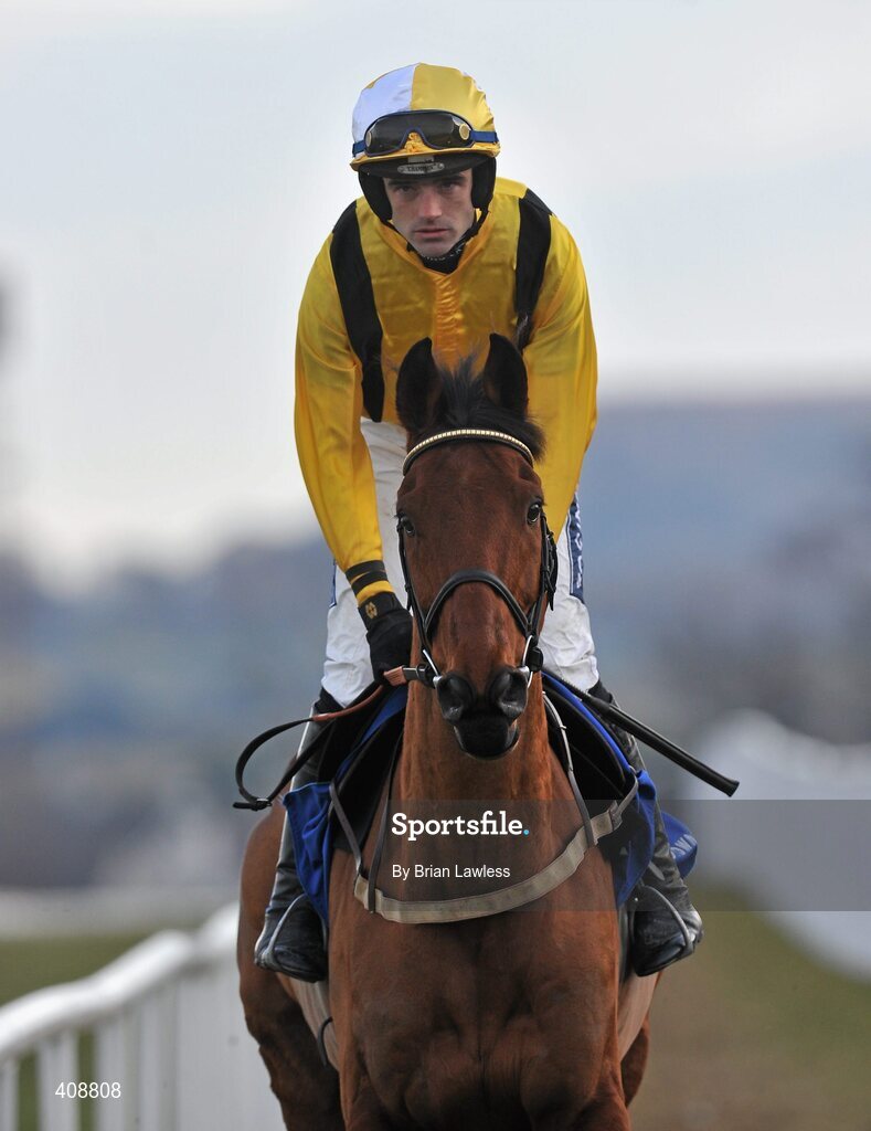 28 February 2010; Snowy Morning, with Ruby Walsh up, goes to post for The Newlands Steeplechase. Leopardstown Racecourse, Dublin. Picture credit: Brian Lawless / SPORTSFILE