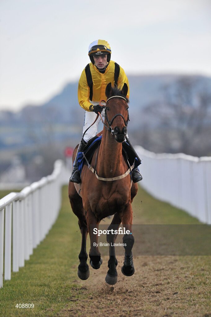 28 February 2010; Snowy Morning, with Ruby Walsh up, goes to post for The Newlands Steeplechase. Leopardstown Racecourse, Dublin. Picture credit: Brian Lawless / SPORTSFILE