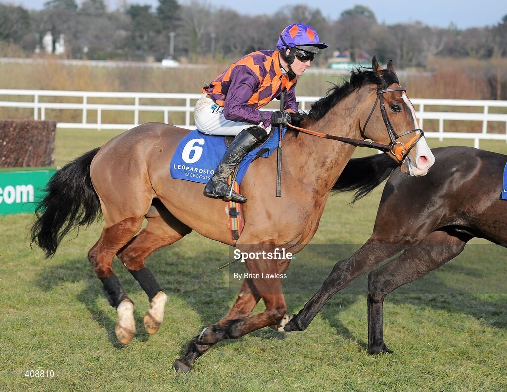 28 February 2010; Tranquil Sea, with Andrew McNamara up, during The Newlands Steeplechase. Leopardstown Racecourse, Dublin. Picture credit: Brian Lawless / SPORTSFILE