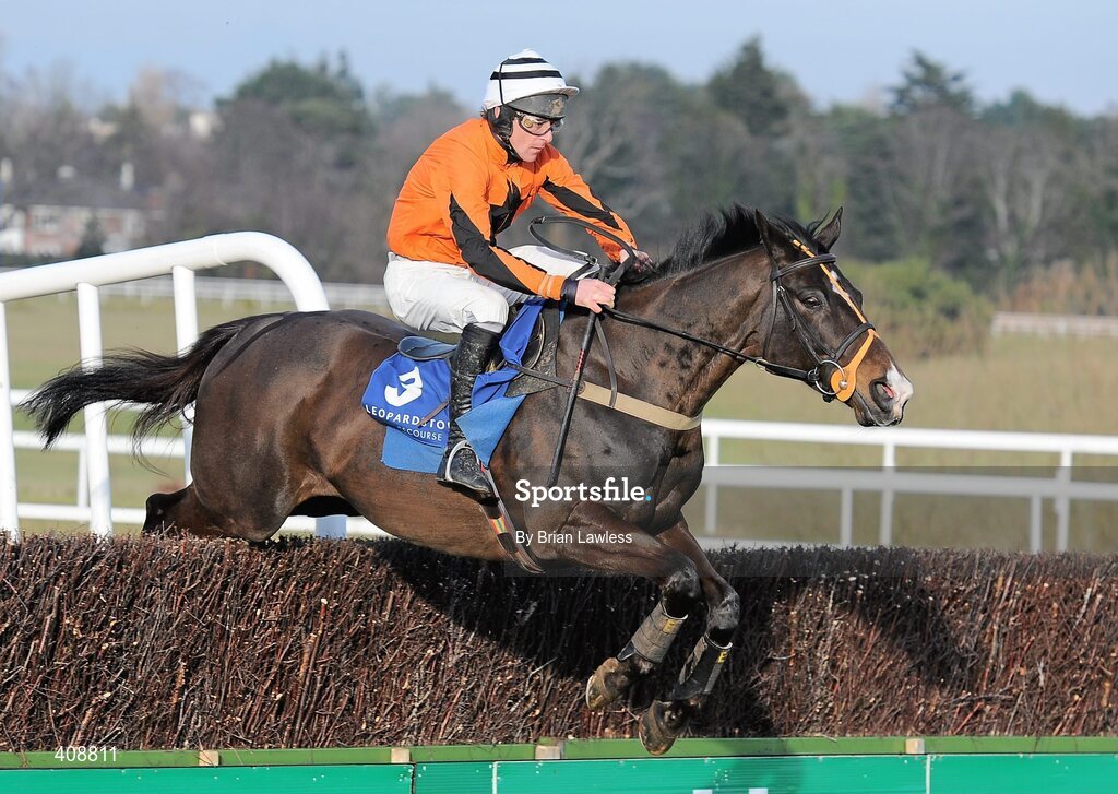 28 February 2010; Made In Taipan, with Davy Russell up, clears the last 'first time around' during The Newlands Steeplechase. Leopardstown Racecourse, Dublin. Picture credit: Brian Lawless / SPORTSFILE