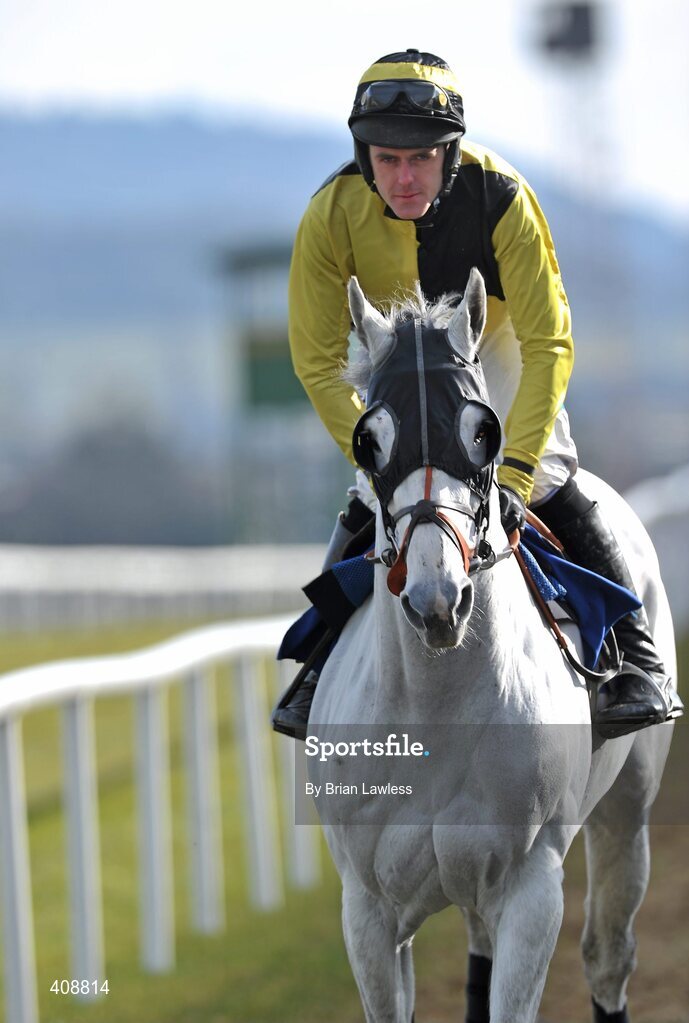 28 February 2010; Sky's The Limit, with Andrew McNamara up, goes to post for The Carrickmines Handicap Steeplechase. Leopardstown Racecourse, Dublin. Picture credit: Brian Lawless / SPORTSFILE