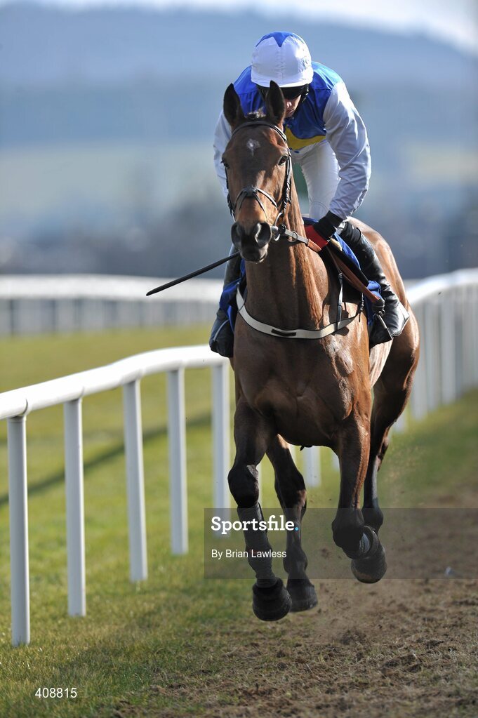 28 February 2010; Bluesea Cracker, with Davy Condon up, goes to post for The Carrickmines Handicap Steeplechase. Leopardstown Racecourse, Dublin. Picture credit: Brian Lawless / SPORTSFILE