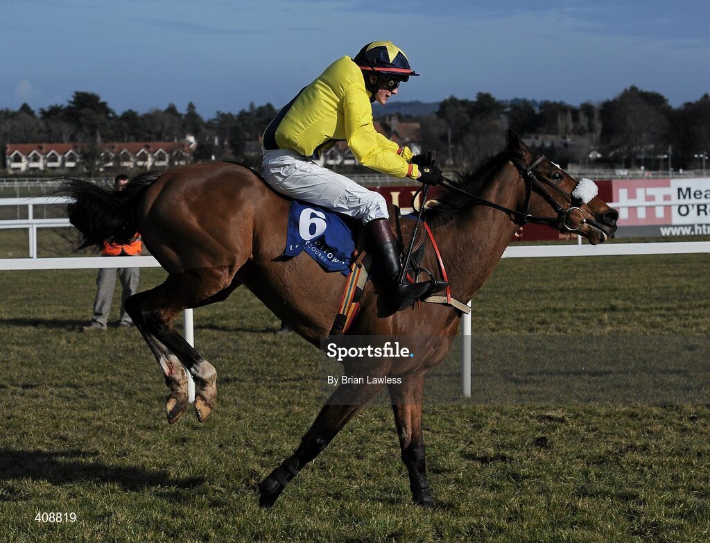 28 February 2010; Marlay Park, with Daniel Mullins up, during The Irish Stallion Farms European Breeders Fund Maiden Hurdle. Leopardstown Racecourse, Dublin. Picture credit: Brian Lawless / SPORTSFILE