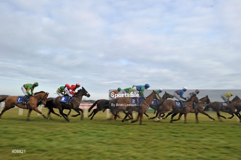 28 February 2010; A general view of the runners and riders during The www.leopardstown.com Handicap Hurdle. Leopardstown Racecourse, Dublin. Picture credit: Brian Lawless / SPORTSFILE