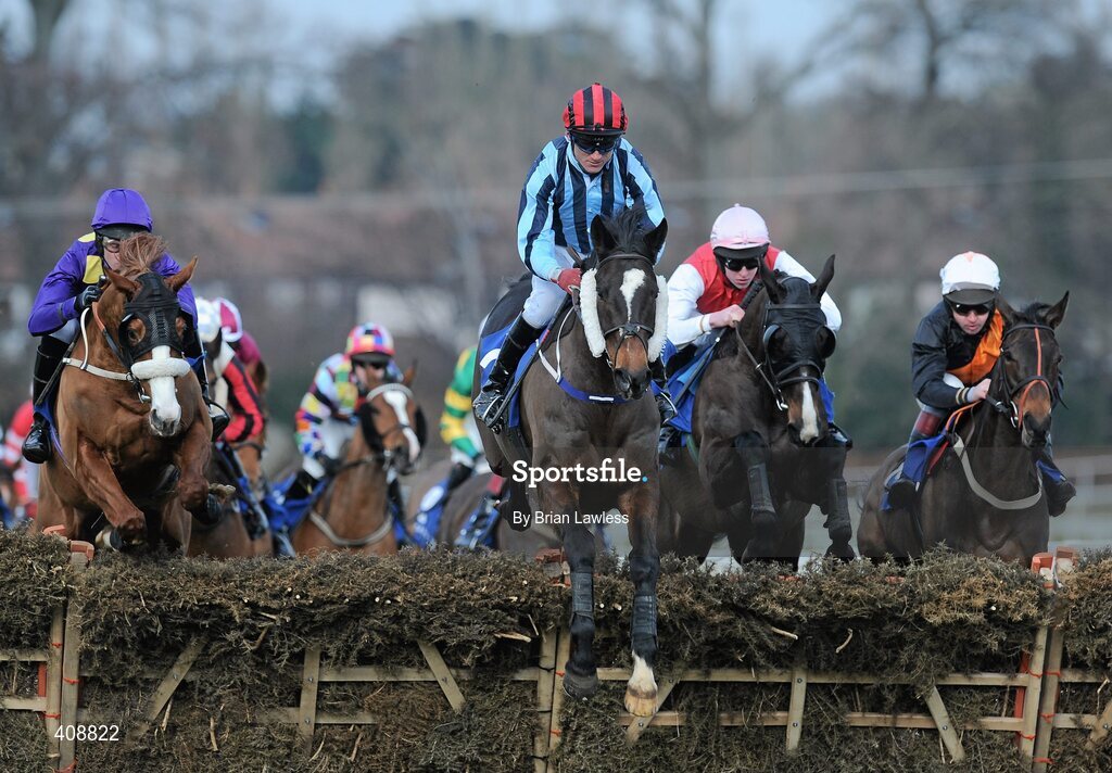 28 February 2010; Show Blessed, with John Cullen up, clears the last 'first time around' ahead of, from left, Baron De'l, Andrew McNamara up, Slievecorragh, M.P. Walsh up, and Here Comes Sally, Garrett Cotter up, during The www.leopardstown.com Handicap Hurdle. Leopardstown Racecourse, Dublin. Picture credit: Brian Lawless / SPORTSFILE