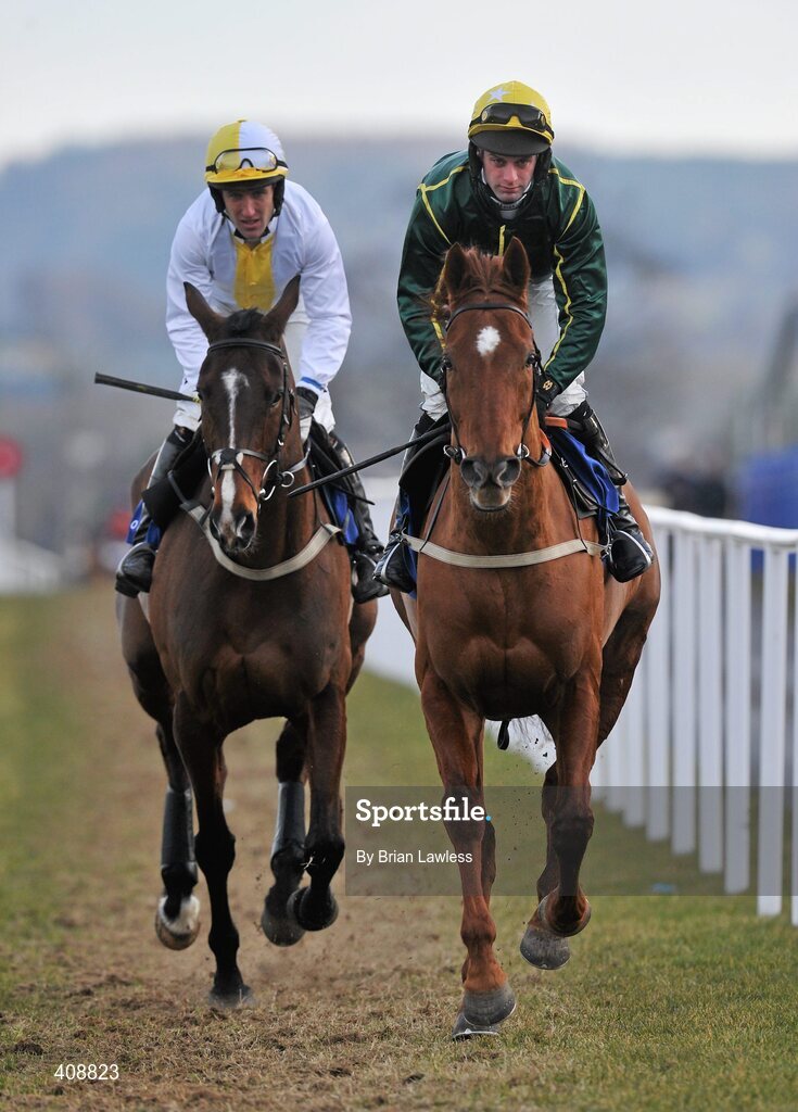 28 February 2010; Carthalawn, with Niall Madden up, right, and Ballyholland, Robert Power up, go to post for The Newlands Steeplechase. Leopardstown Racecourse, Dublin. Picture credit: Brian Lawless / SPORTSFILE