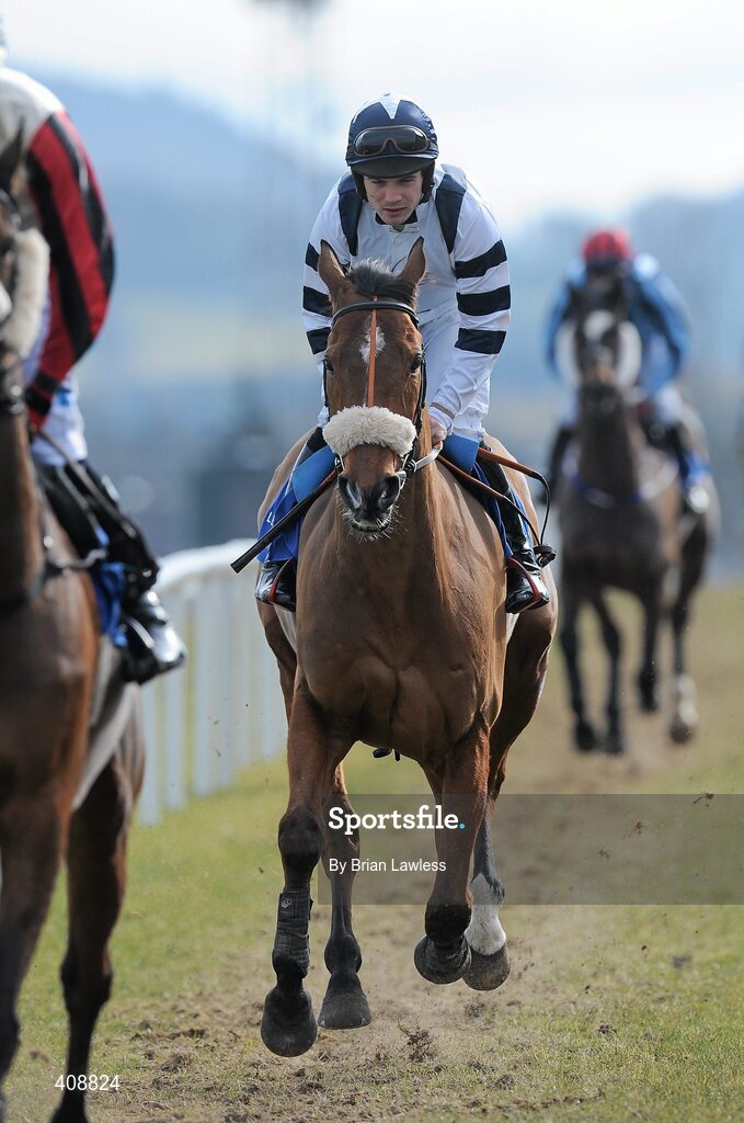 28 February 2010; Reisk Superman, with Robert Colgan up, goes to post for The www.leopardstown.com Handicap Hurdle. Leopardstown Racecourse, Dublin. Picture credit: Brian Lawless / SPORTSFILE