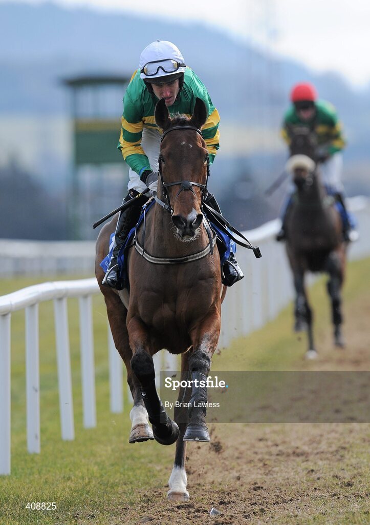 28 February 2010; Alpine Eagle, with Robert Power up, goes to post for The www.leopardstown.com Handicap Hurdle. Leopardstown Racecourse, Dublin. Picture credit: Brian Lawless / SPORTSFILE