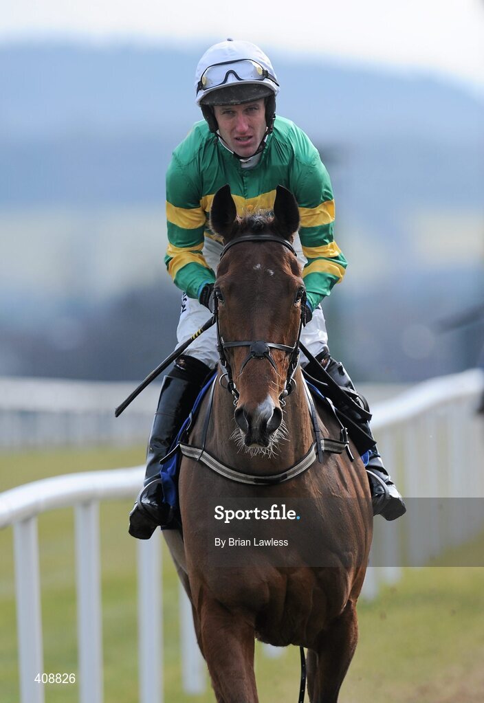 28 February 2010; Alpine Eagle, with Robert Power up, goes to post for The www.leopardstown.com Handicap Hurdle. Leopardstown Racecourse, Dublin. Picture credit: Brian Lawless / SPORTSFILE