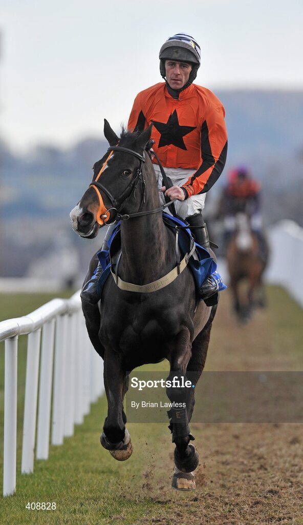28 February 2010; Made In Taipan, with Davy Russell up, goes to post for The Newlands Steeplechase. Leopardstown Racecourse, Dublin. Picture credit: Brian Lawless / SPORTSFILE