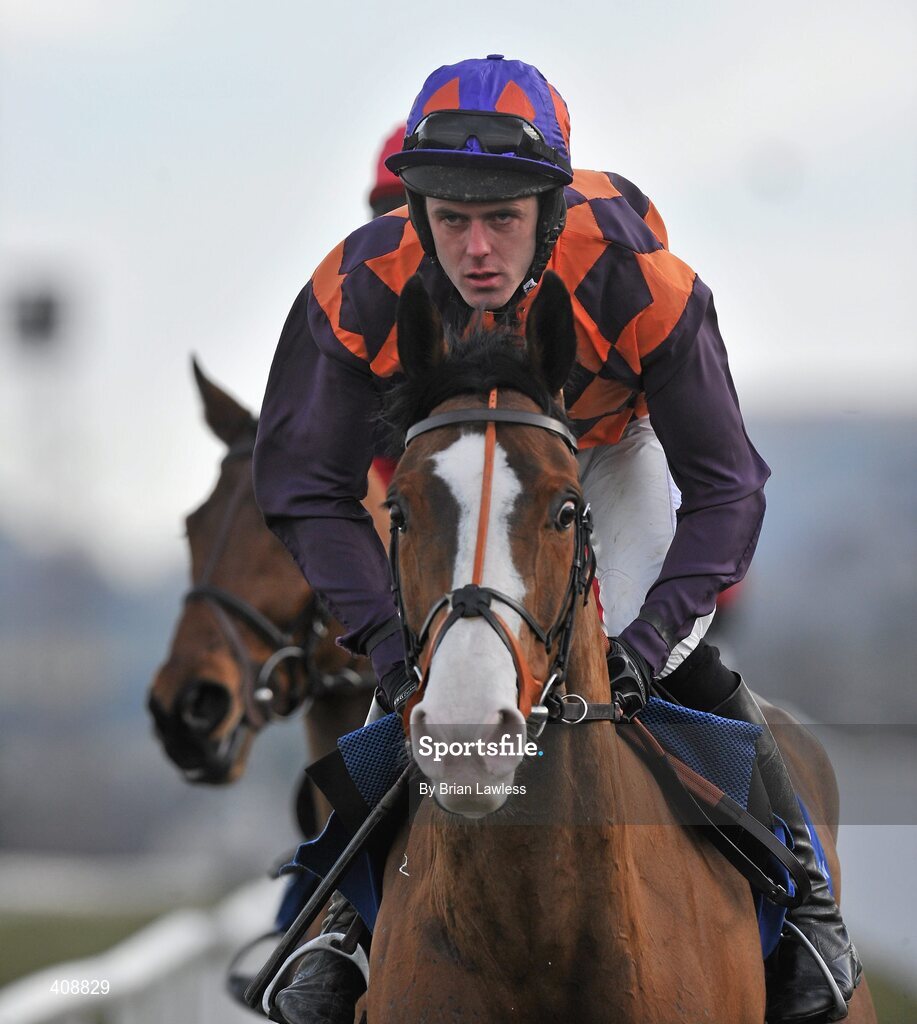28 February 2010; Tranquil Sea, with Andrew McNamara up, goes to post for The Newlands Steeplechase. Leopardstown Racecourse, Dublin. Picture credit: Brian Lawless / SPORTSFILE