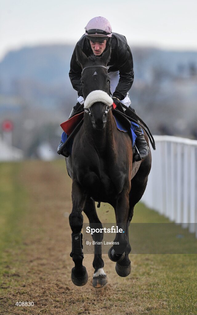 28 February 2010; Mansony, with Paddy Flood up, goes to post for The Newlands Steeplechase. Leopardstown Racecourse, Dublin. Picture credit: Brian Lawless / SPORTSFILE