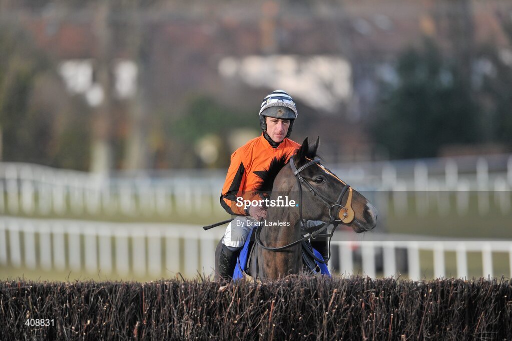 28 February 2010; Made In Taipan, with Davy Russell up, ahead of The Newlands Steeplechase. Leopardstown Racecourse, Dublin. Picture credit: Brian Lawless / SPORTSFILE
