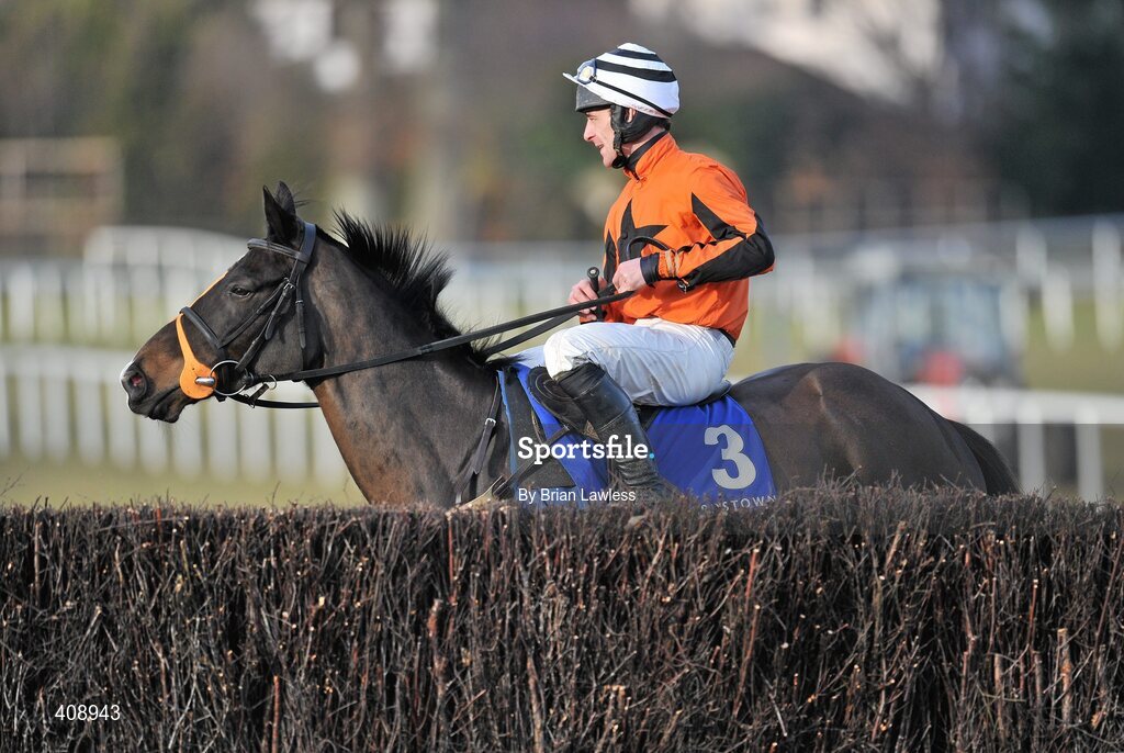 28 February 2010; Made In Taipan, with Davy Russell up, ahead of The Newlands Steeplechase. Leopardstown Racecourse, Dublin. Picture credit: Brian Lawless / SPORTSFILE