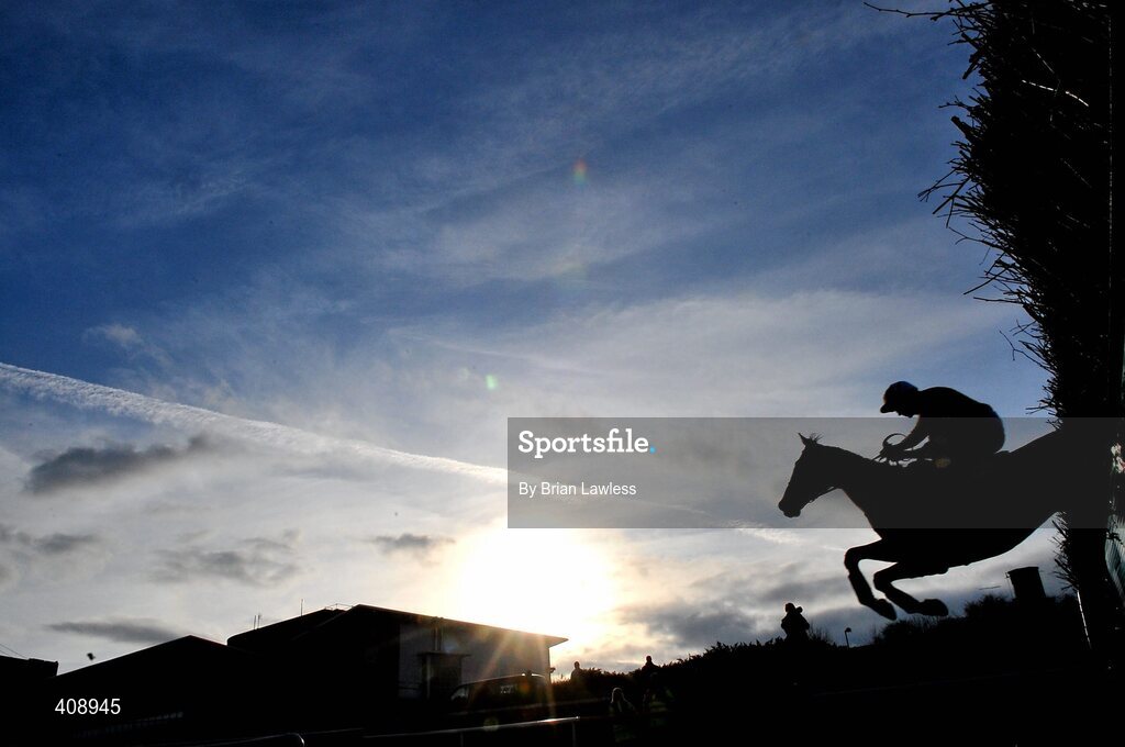28 February 2010; A general view of horses clearing the last fence during The Newlands Steeplechase. Leopardstown Racecourse, Dublin. Picture credit: Brian Lawless / SPORTSFILE