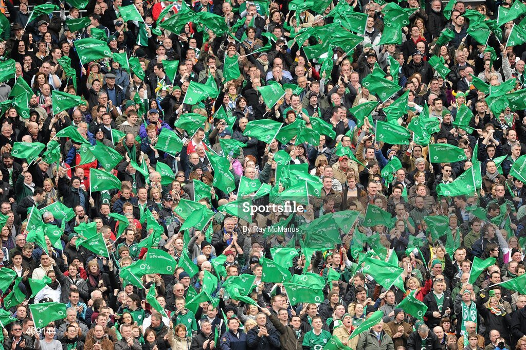 13 March 2010; Ireland supporters celebrate Keith Earls' try in the 26th minute. RBS Six Nations Rugby Championship, Ireland v Wales, Croke Park, Dublin. Picture credit: Ray McManus / SPORTSFILE