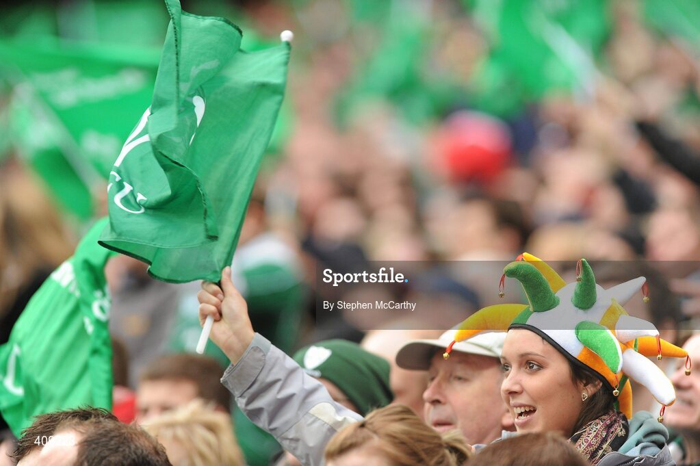 13 March 2010; An Ireland supporter celebrates a second half score. RBS Six Nations Rugby Championship, Ireland v Wales, Croke Park, Dublin. Picture credit: Stephen McCarthy / SPORTSFILE