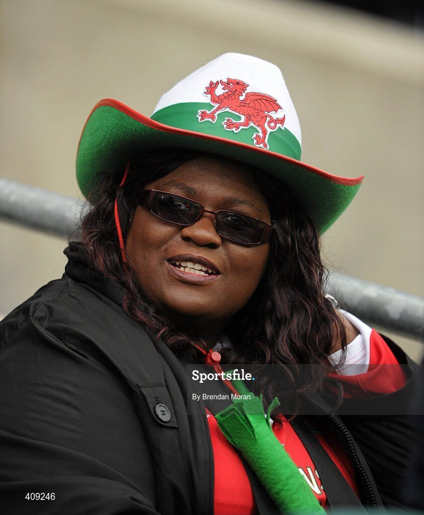13 March 2010; A Wales fan at the game. RBS Six Nations Rugby Championship, Ireland v Wales, Croke Park, Dublin. Picture credit: Brendan Moran / SPORTSFILE