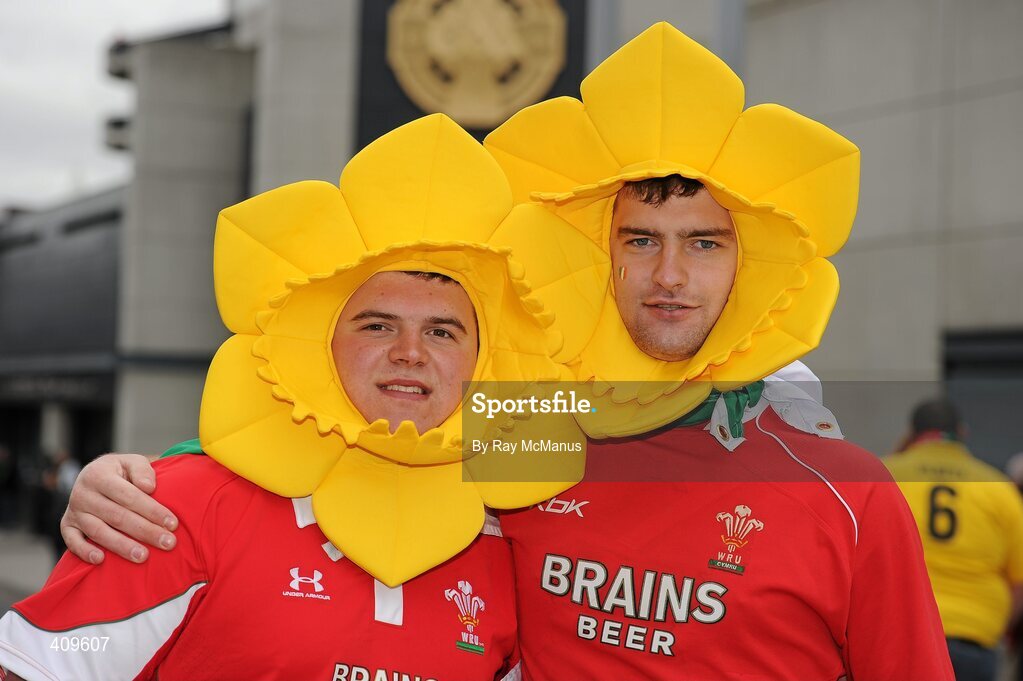 13 March 2010; Wales fans James Nichols, left, and Rhun Williams, from Llanelli, at the game. RBS Six Nations Rugby Championship, Ireland v Wales, Croke Park, Dublin. Picture credit: Ray McManus / SPORTSFILE