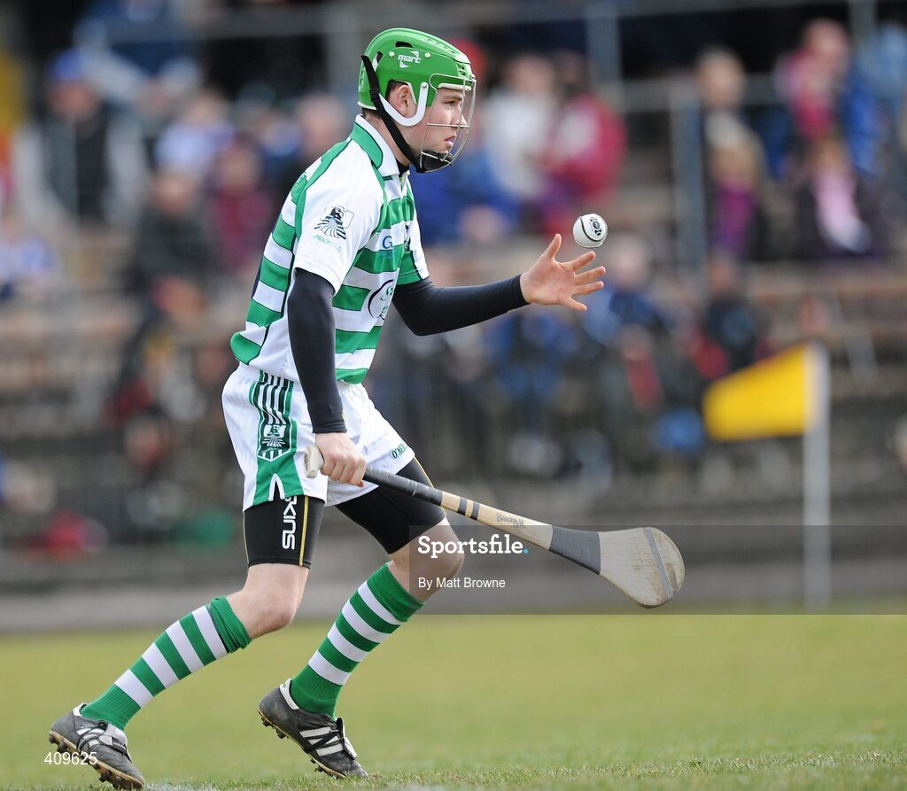 14 March 2010; Barry Hennessy, Limerick. Allianz GAA Hurling National League, Division 1, Round 3, Waterford v Limerick, Fraher Field, Dungarvan, Co. Waterford. Picture credit: Matt Browne / SPORTSFILE