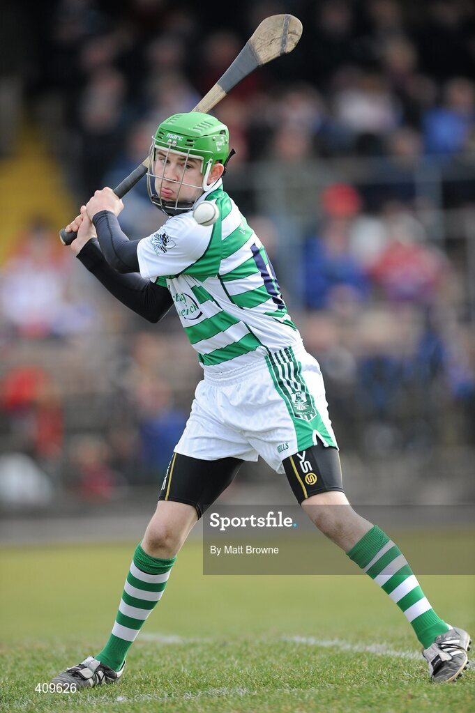 14 March 2010; Barry Hennessy, Limerick. Allianz GAA Hurling National League, Division 1, Round 3, Waterford v Limerick, Fraher Field, Dungarvan, Co. Waterford. Picture credit: Matt Browne / SPORTSFILE