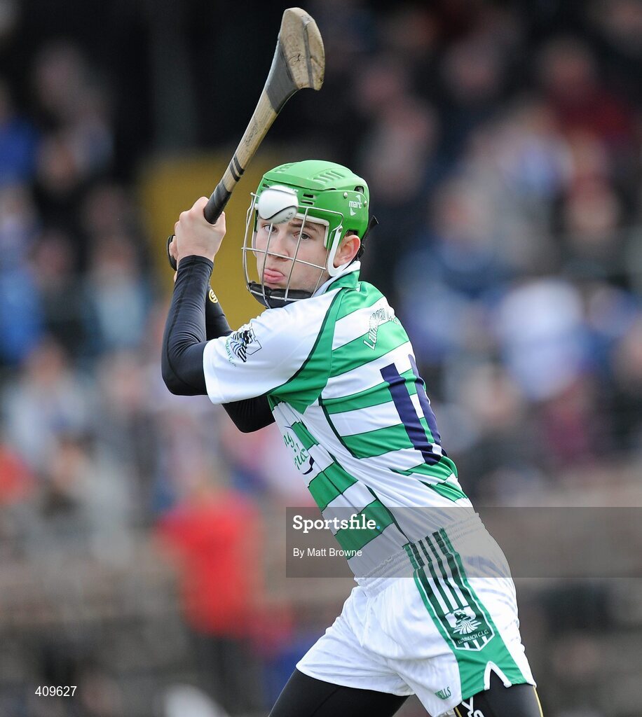 14 March 2010; Barry Hennessy, Limerick. Allianz GAA Hurling National League, Division 1, Round 3, Waterford v Limerick, Fraher Field, Dungarvan, Co. Waterford. Picture credit: Matt Browne / SPORTSFILE