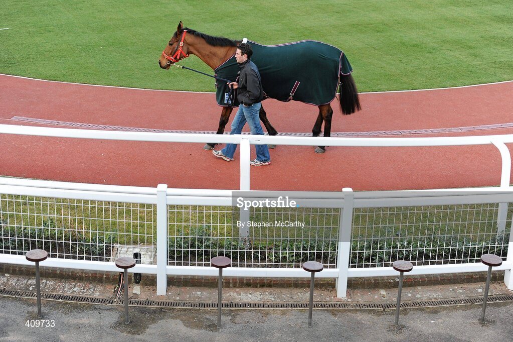 15 March 2010; Willie Mullins trained Discover Fontaine, led by JJ Fitzmaurice, ahead of tomorrow's start of the Cheltenham Racing Festival 2010. Prestbury Park, Cheltenham, Gloucestershire, England. Picture credit: Stephen McCarthy / SPORTSFILE