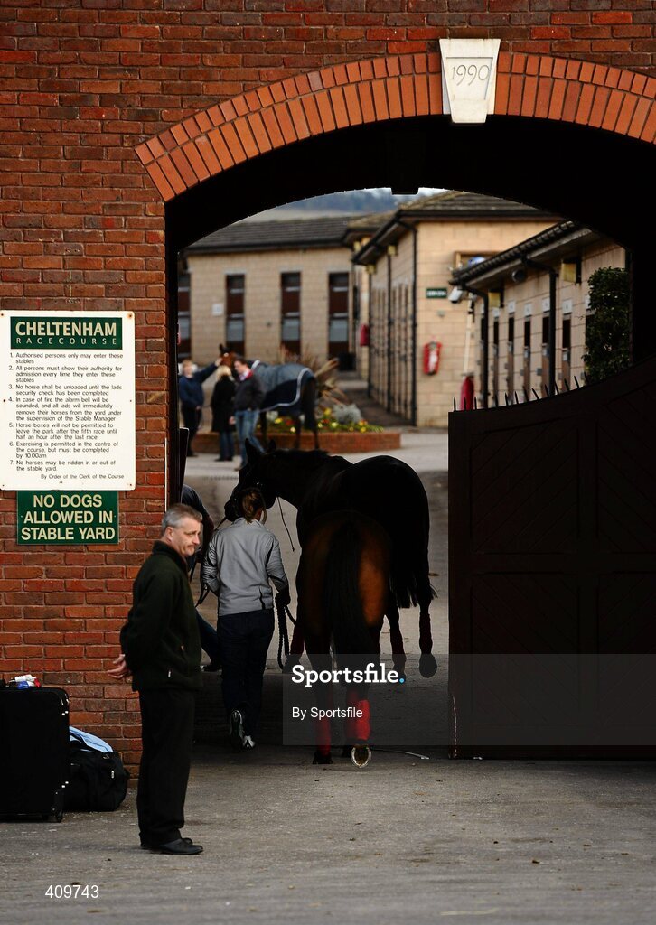 15 March 2010; A general view of horses entering the stables ahead of the 2010 Cheltenham Festival. Prestbury Park, Cheltenham, Gloucestershire, England. Photo by Sportsfile