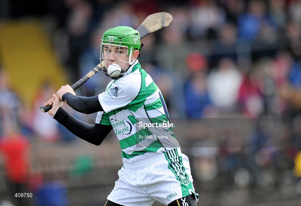 14 March 2010; Barry Hennessy, Limerick. Allianz GAA Hurling National League, Division 1, Round 3, Waterford v Limerick, Fraher Field, Dungarvan, Co. Waterford. Picture credit: Matt Browne / SPORTSFILE