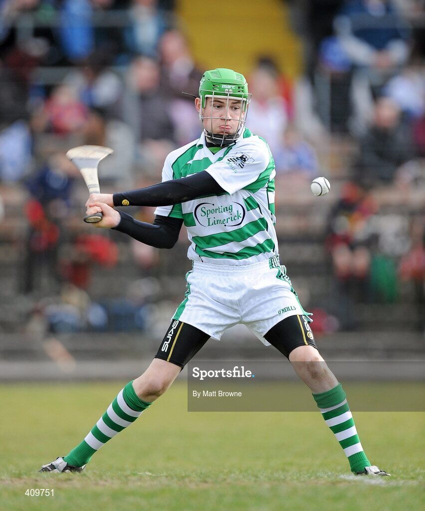 14 March 2010; Barry Hennessy, Limerick. Allianz GAA Hurling National League, Division 1, Round 3, Waterford v Limerick, Fraher Field, Dungarvan, Co. Waterford. Picture credit: Matt Browne / SPORTSFILE