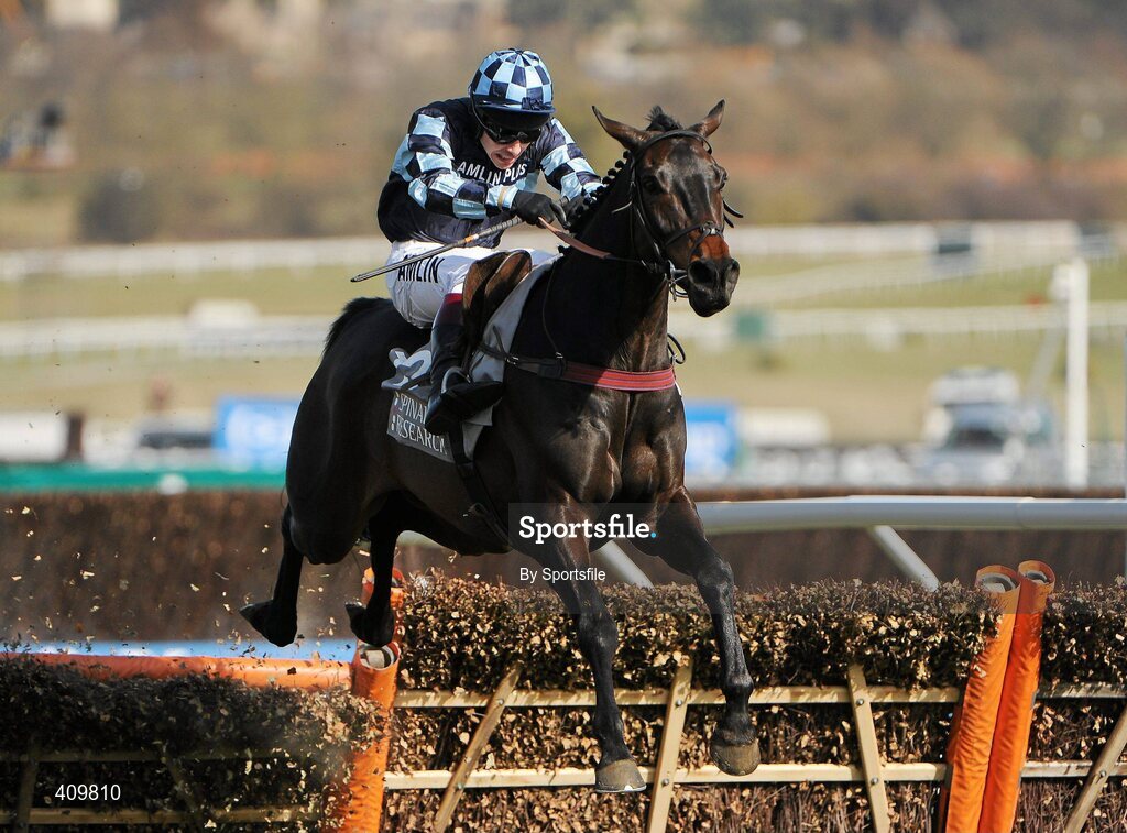 16 March 2010; Menorah, with Richard Johnson up, jumps the last on their way to winning the Spinal Research Supreme Novices' Hurdle. Cheltenham Racing Festival - Tuesday. Prestbury Park, Cheltenham, Gloucestershire, England. Photo by Sportsfile