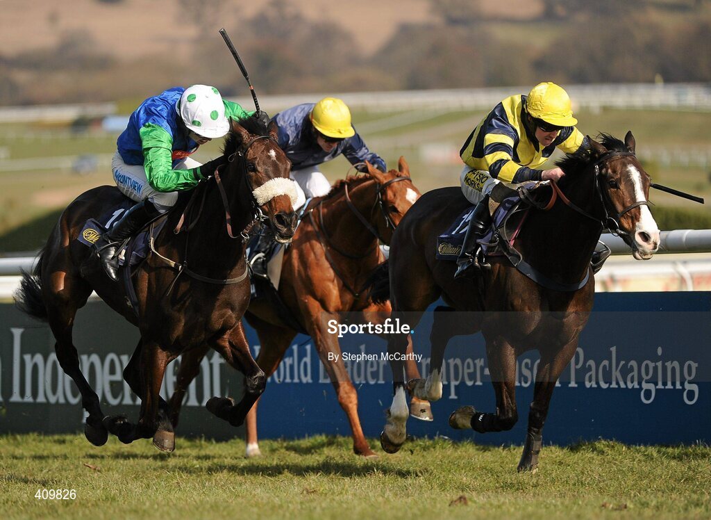16 March 2010; Chief Dan George, with Paddy Aspell up, right, on their way to winning the William Hill Trophy Handicap Chase, from second place The Package, with Timmy Murphy up, left, and Ogee, with Jim McCarthy up. Cheltenham Racing Festival - Tuesday. Prestbury Park, Cheltenham, Gloucestershire, England. Picture credit: Stephen McCarthy / SPORTSFILE