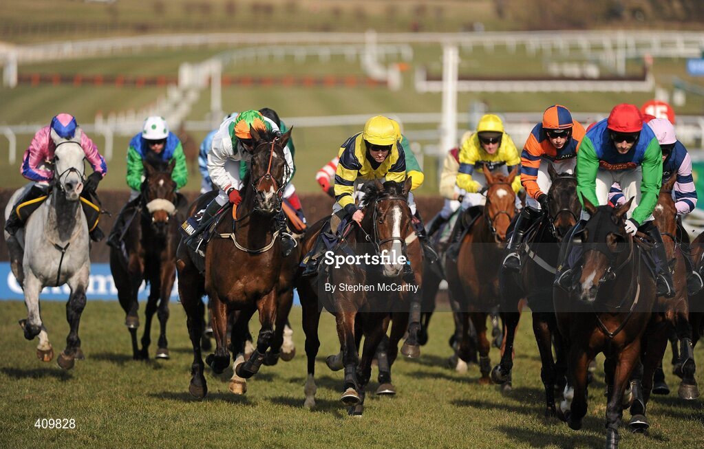 16 March 2010; Chief Dan George, with Paddy Aspell up, centre, purple and yellow silks, on their way to winning the William Hill Trophy Handicap Chase. Cheltenham Racing Festival - Tuesday. Prestbury Park, Cheltenham, Gloucestershire, England. Picture credit: Stephen McCarthy / SPORTSFILE
