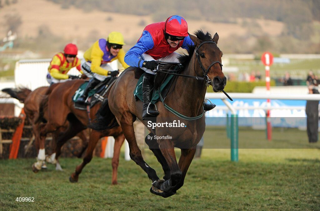 16 March 2010; Quevega, with Ruby Walsh up, on the way to winning the David Nicholson Mares' Hurdle. Cheltenham Racing Festival - Tuesday. Prestbury Park, Cheltenham, Gloucestershire, England. Photo by Sportsfile